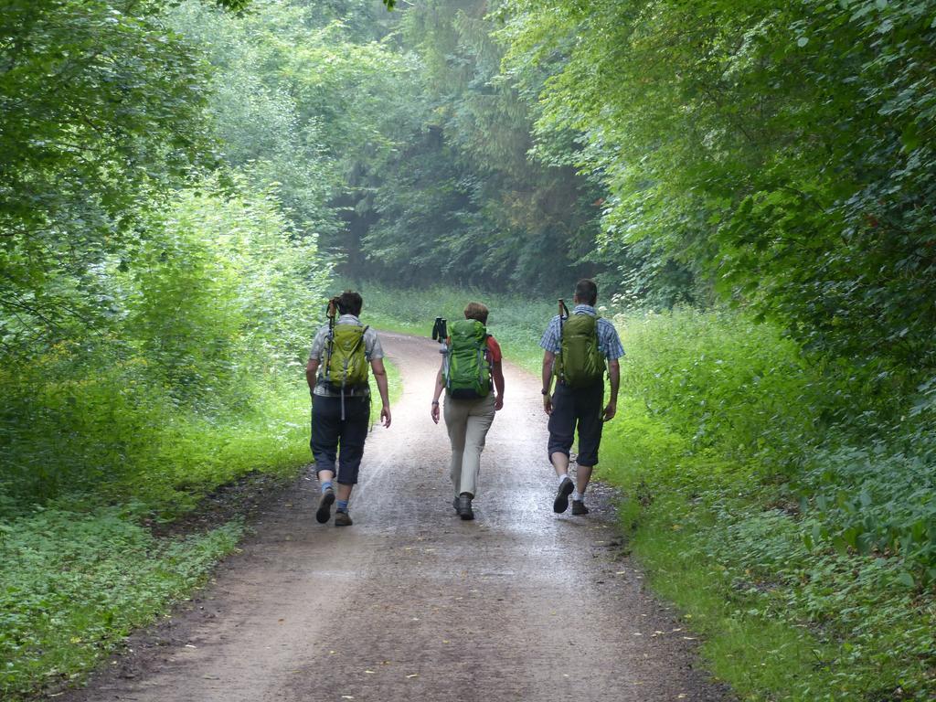 Ferienhaus Fischbachtal Heimbach Bagian luar foto