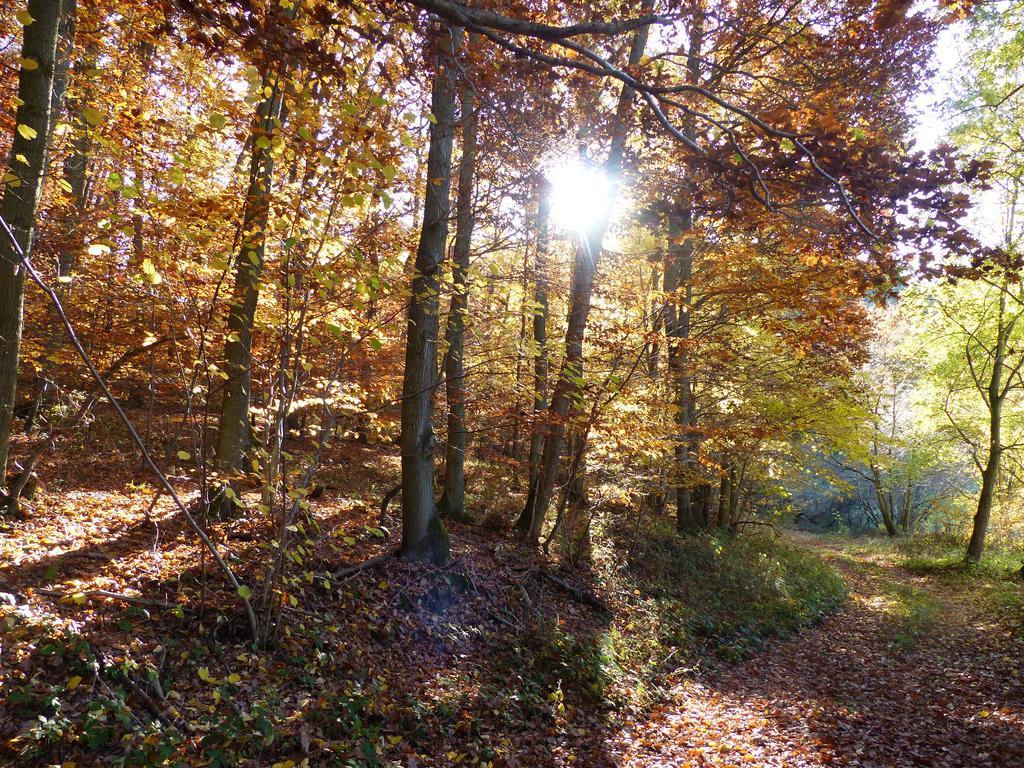 Ferienhaus Fischbachtal Heimbach Bagian luar foto